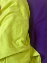 Load image into Gallery viewer, NIGHTCRAWLER Cockroach print Crop Top